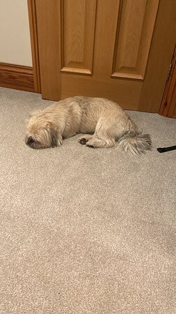 Mooredge - Room Only主图