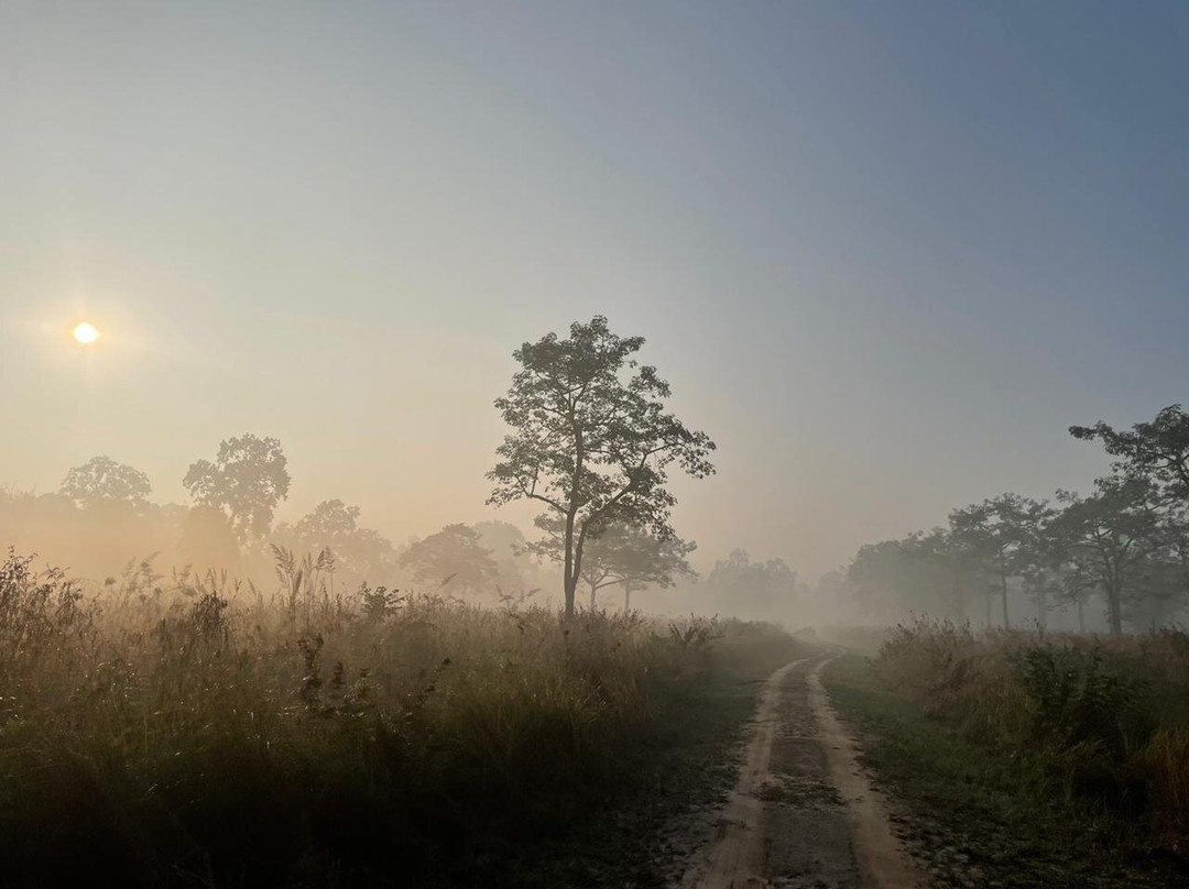Kishanpur Wildlife Sanctuary景点图片