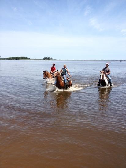 Easy Does It Ranch and Riding Academy-切萨皮克必去景点