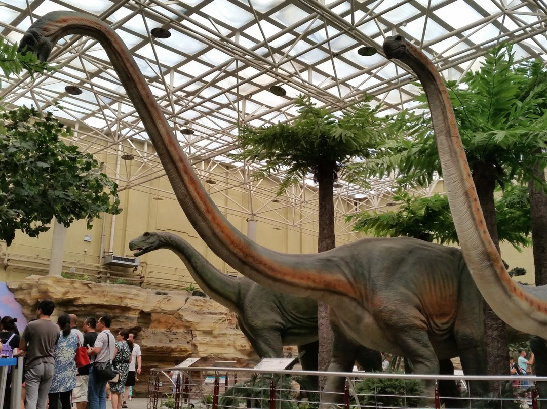 北京自然博物馆-北京市必去景点