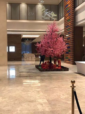 南京上秦淮假日酒店主图