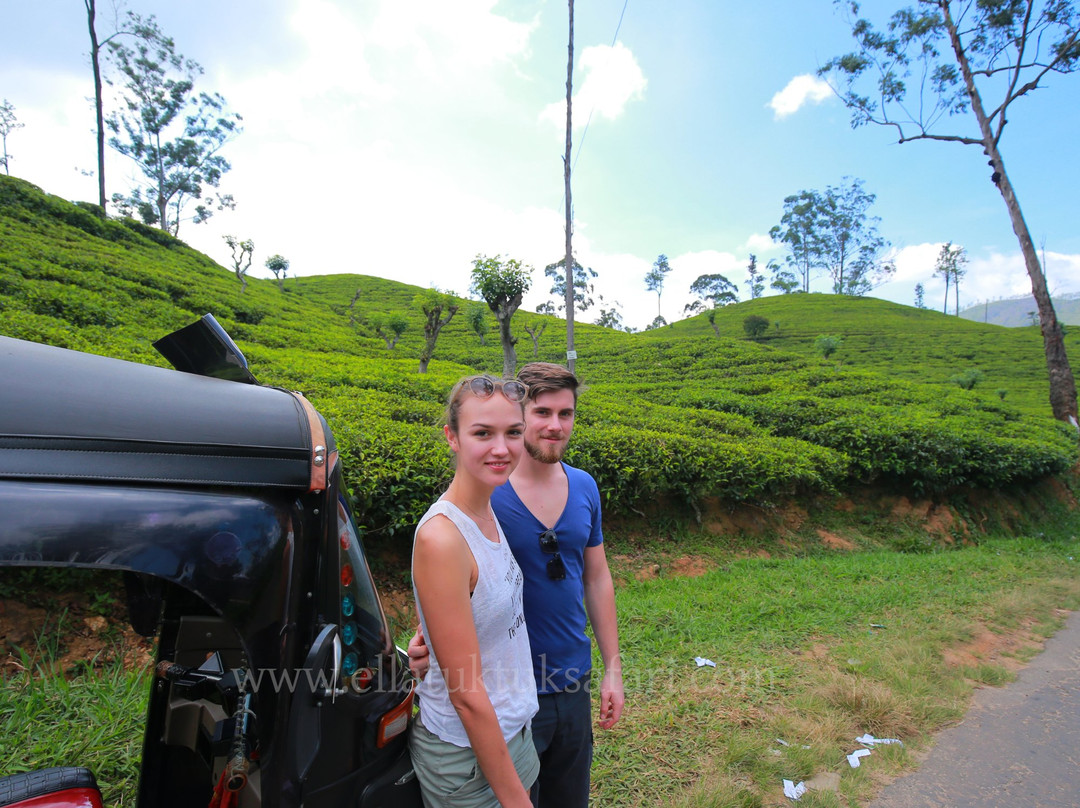 Ella Tuk Tuk Safari-埃勒必去景点