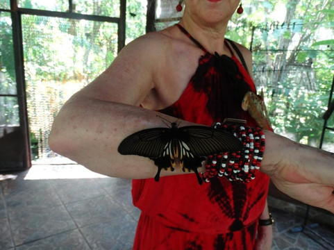 Holiday In Bali Tour-吉安雅必去景点