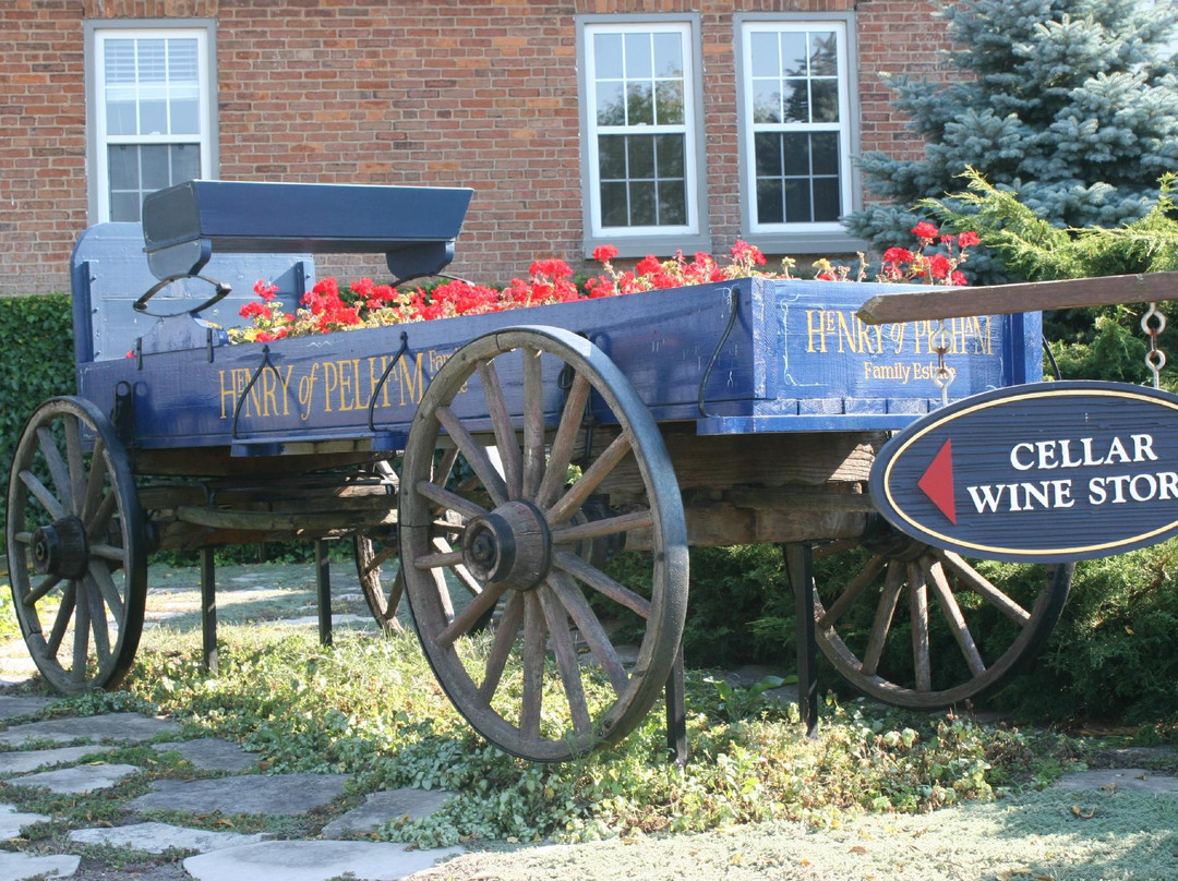 Henry of Pelham Family Estate Winery-圣凯瑟琳斯必去景点