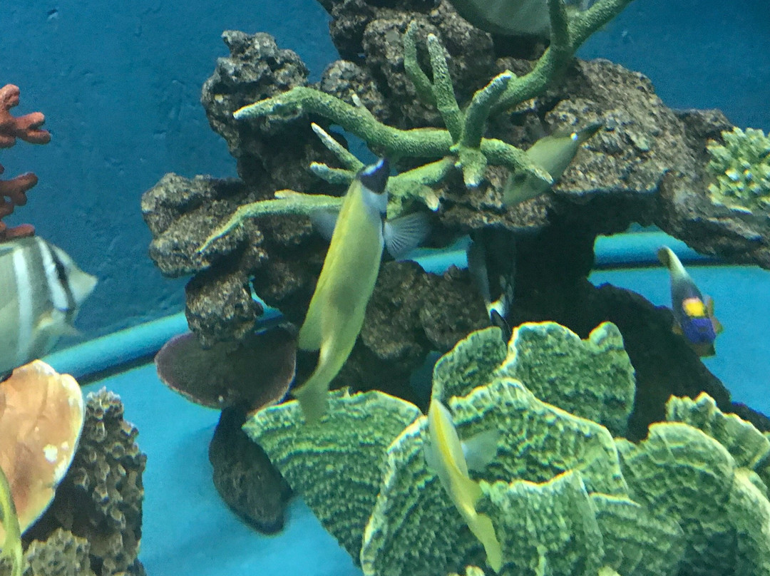 Khlong Khok Kham-龙仔厝必去景点