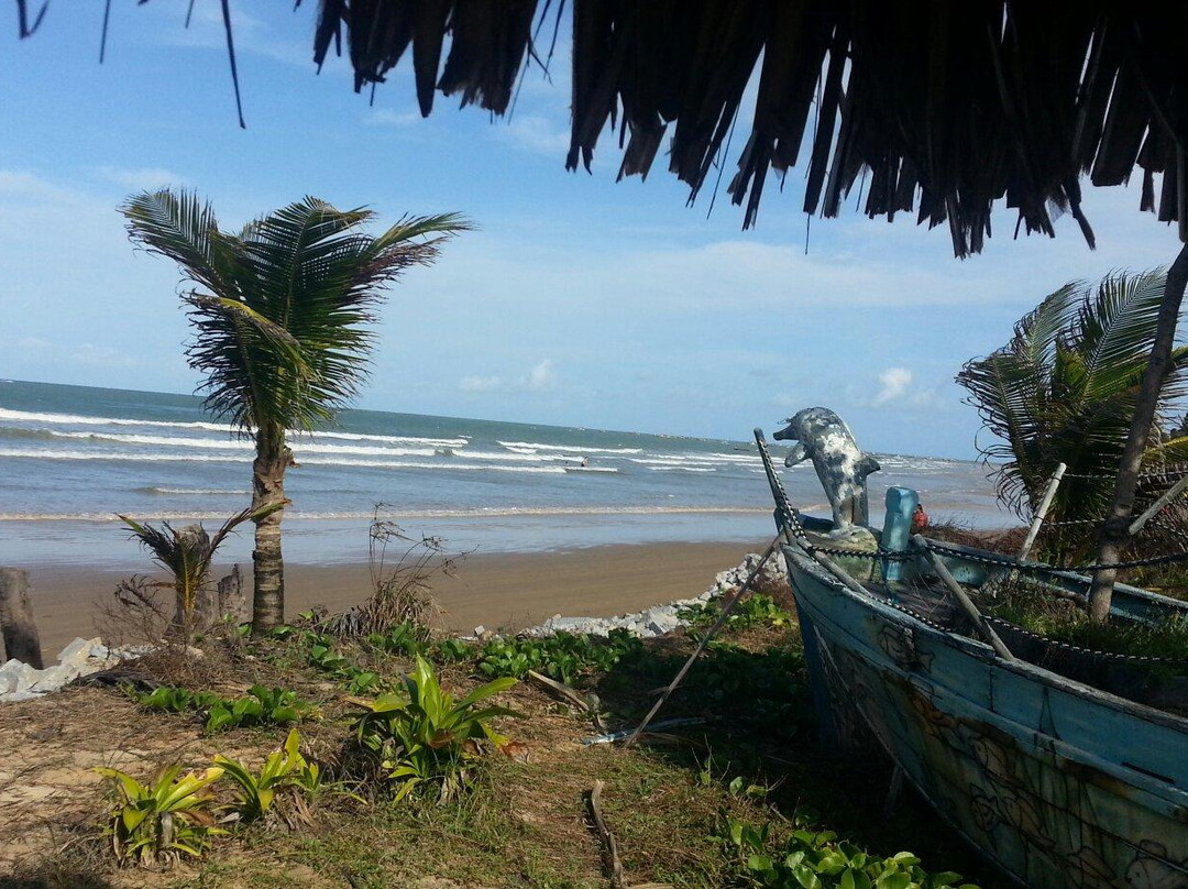 Pontal do Peba Beach景点图片