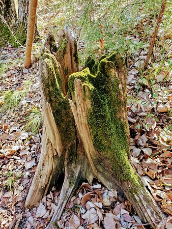 Dogwood Canyon Audubon Center at Cedar Hill-Cedar Hill必去景点
