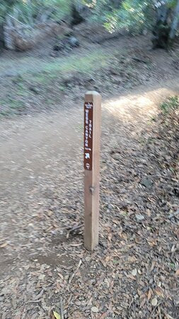 阿尔马登奎克西尔弗郡立公园-圣何塞必去景点