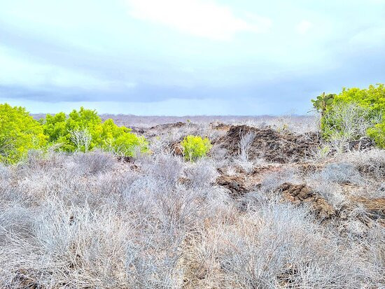 Santa Cruz Island-圣克鲁斯必去景点