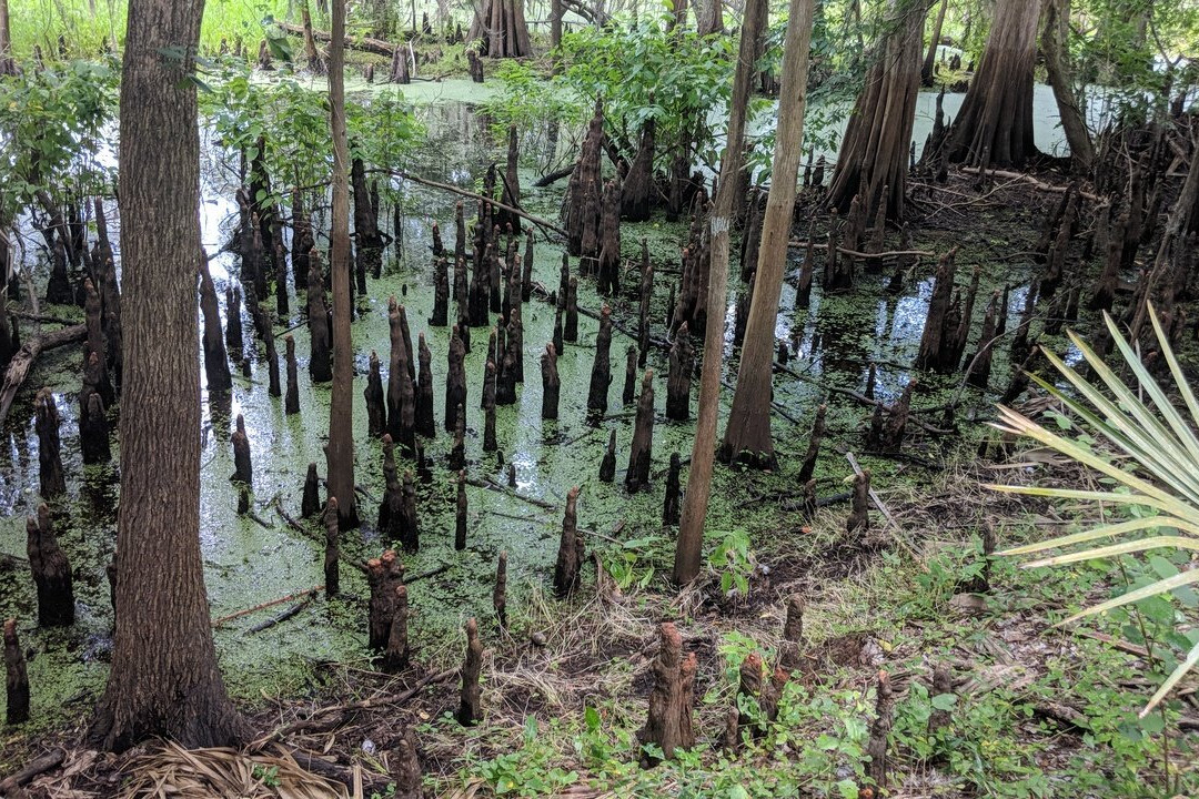 Black Bear Wilderness Area-桑福德必去景点