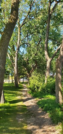 Tifft Nature Preserve-水牛城必去景点