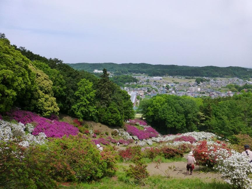 越生町旅游攻略图片