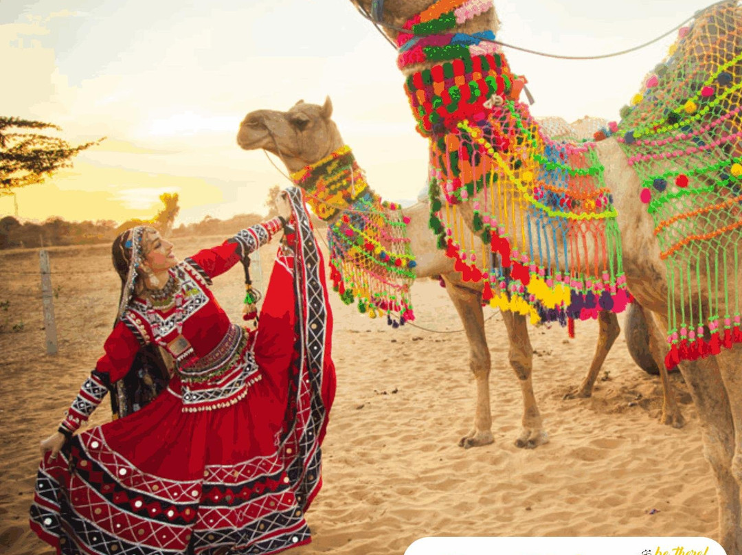 Gotripee Tours - India Private Day Tours景点图片