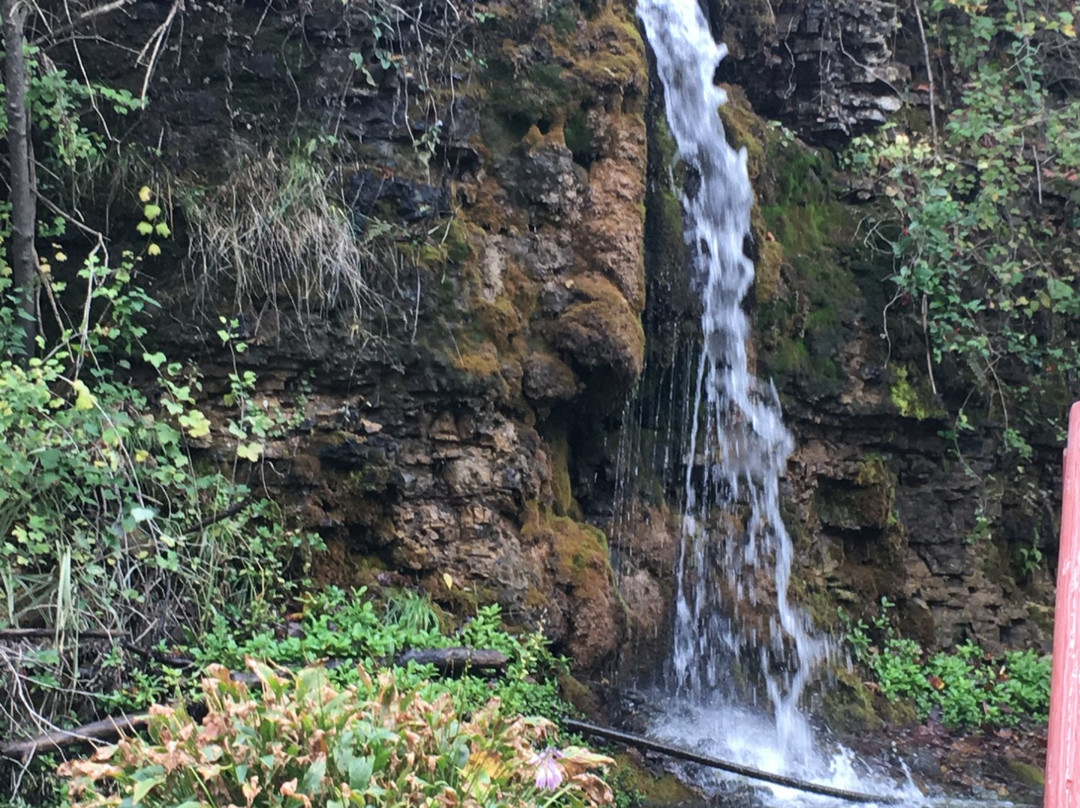 Paradise Cove Artesian Well Park-Winslow必去景点