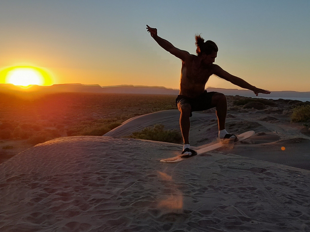 Best Baja Tours