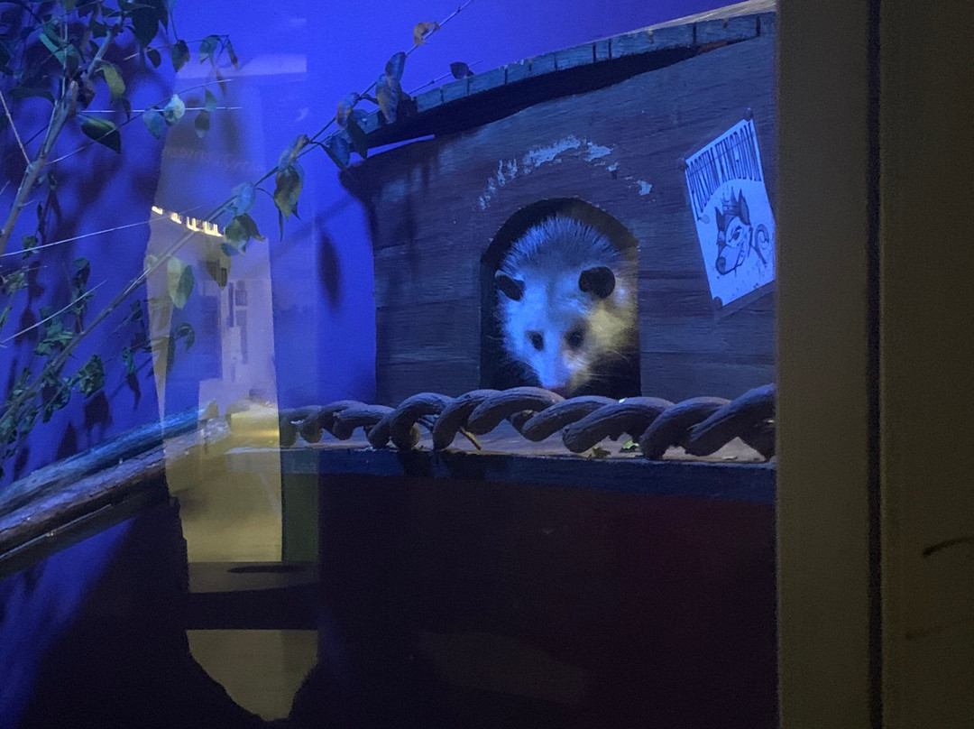 Tackapausha Museum And Preserve景点图片