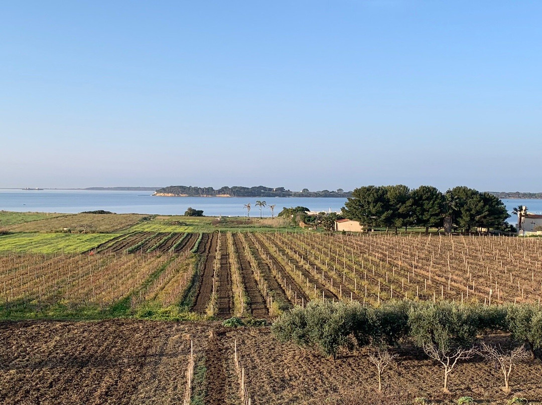 Birgi Vecchi旅游攻略图片