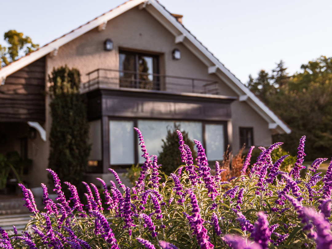La Nature Hosteria