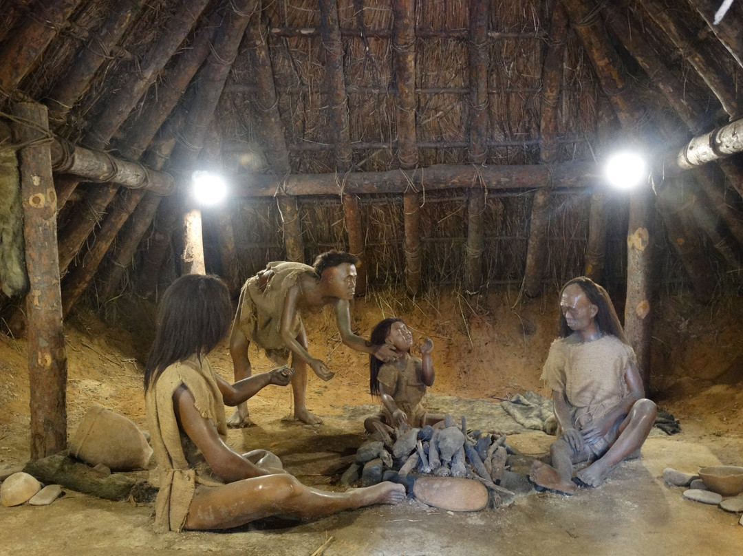 Dunsan Prehistoric Site-大田必去景点