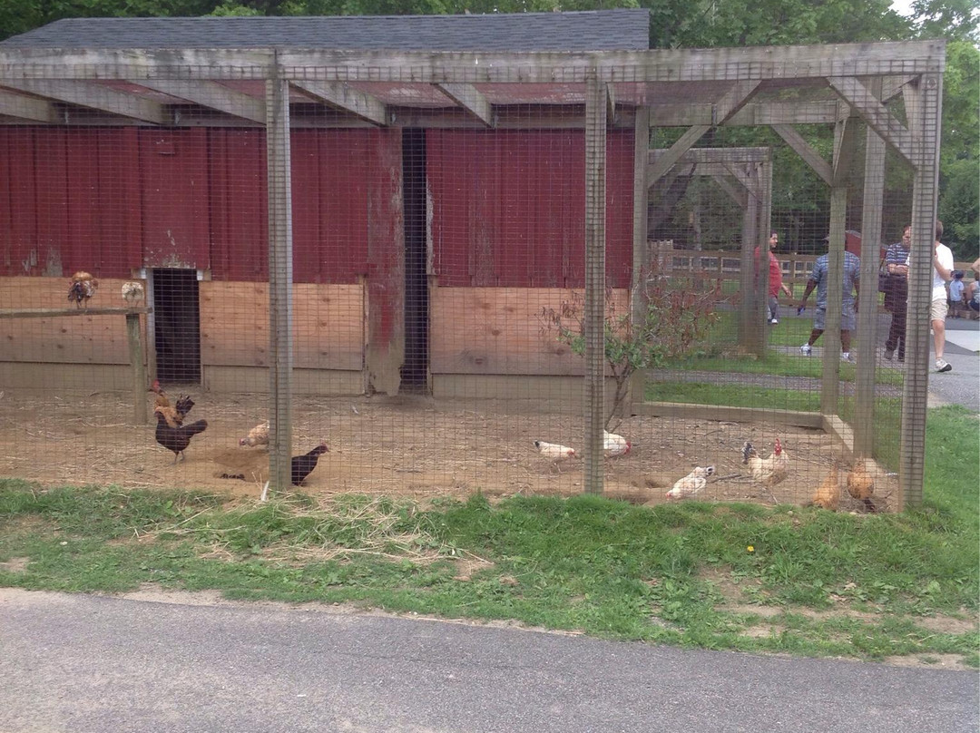 Green Hill Park Farm-伍斯特必去景点