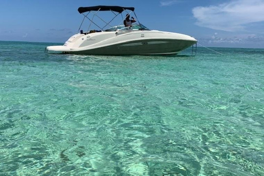 Blue Ocean Tours-乔治城必去景点