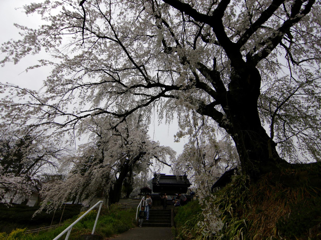 Korin-ji Temple-长野县必去景点