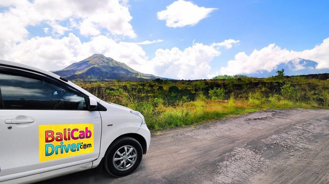 Bali Cab Driver