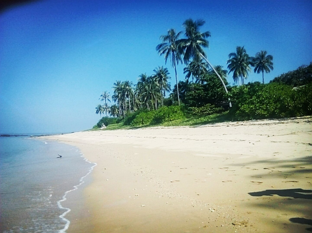 Chaung Tha beach景点图片