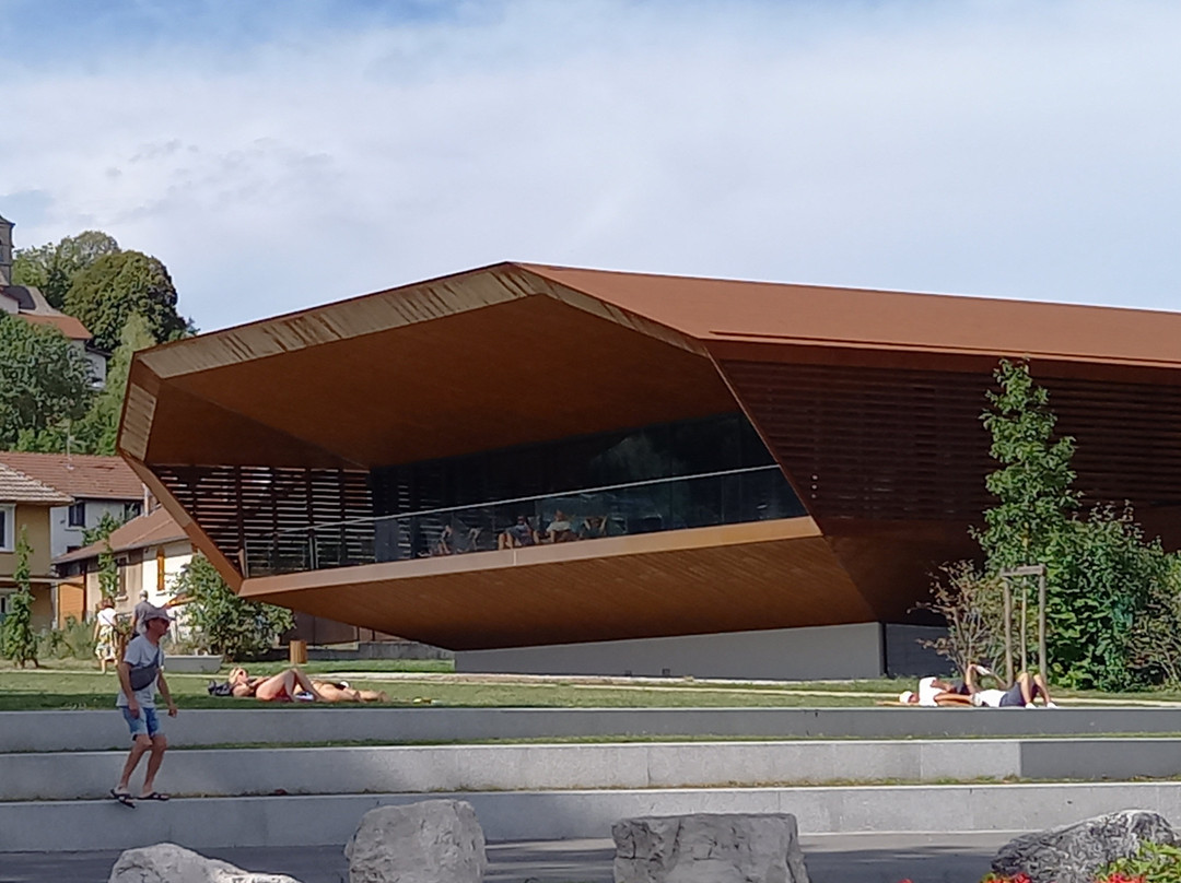 MALP - Musée archéologique du Lac de Paladru-Paladru必去景点