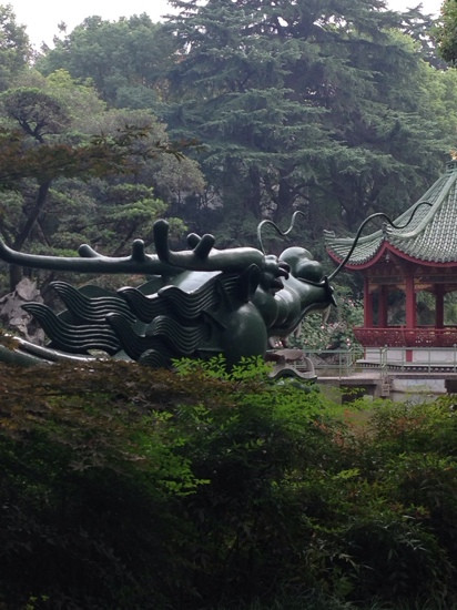 DingXiang HuaYuan