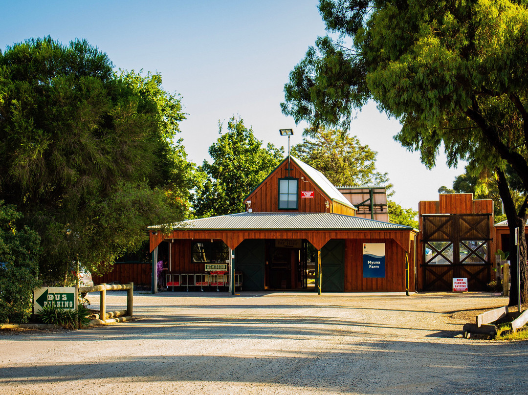 缪纳农场-墨尔本必去景点