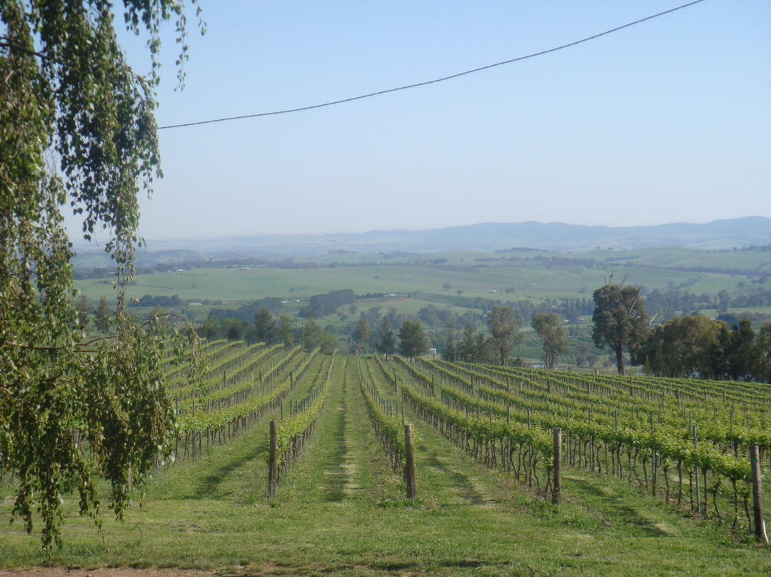 De Salis Wines景点图片