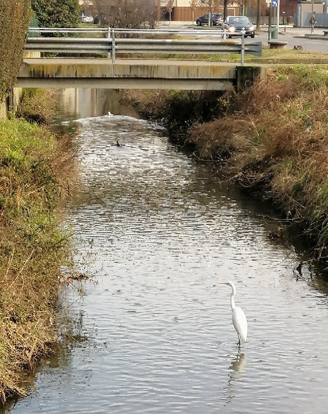 Parco del Lambro Meridionale e del Ticinello-Siziano必去景点