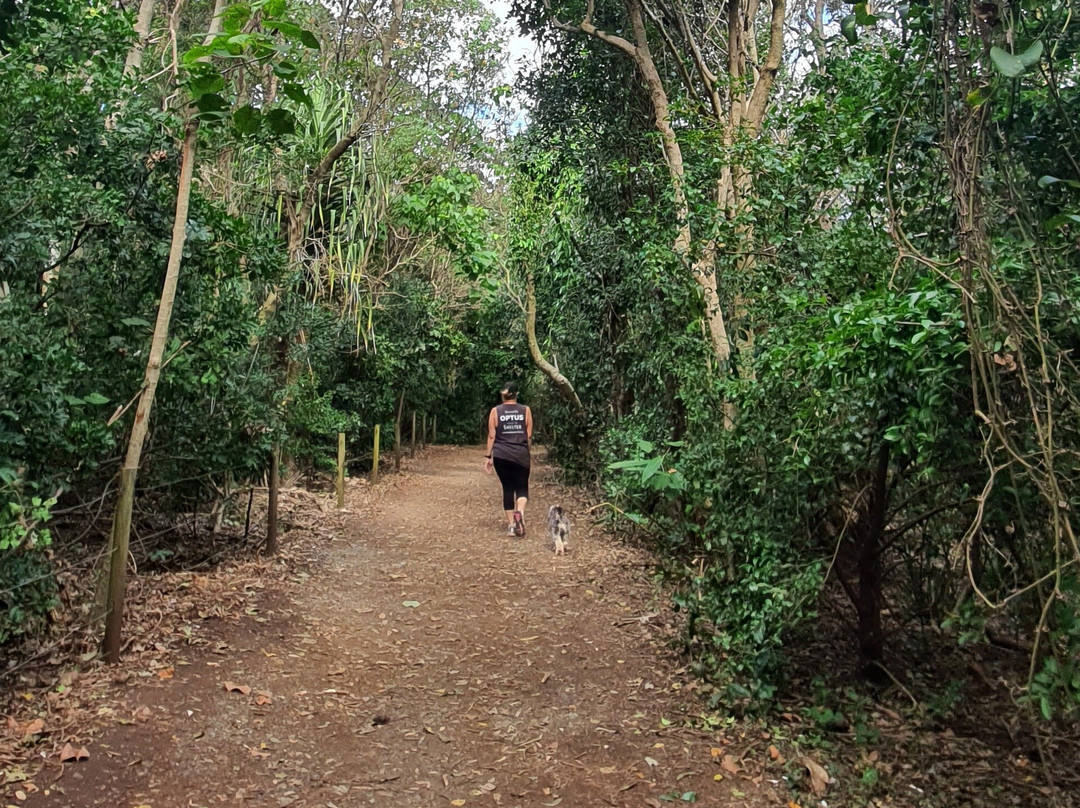 Byron Bay Coastal Walks景点图片