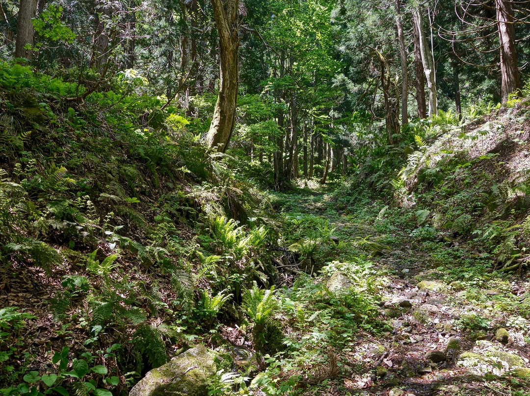 Ninnoji Temple-会津美里町必去景点