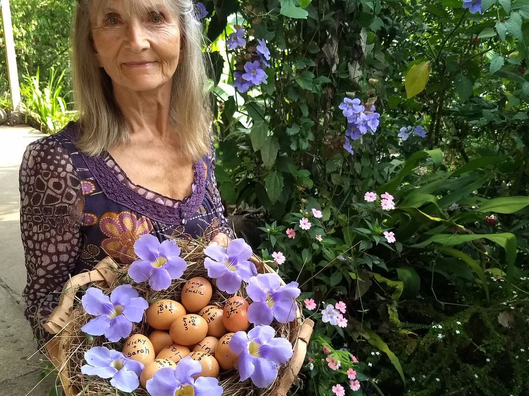 Finca Isla Wellness Retreat主图