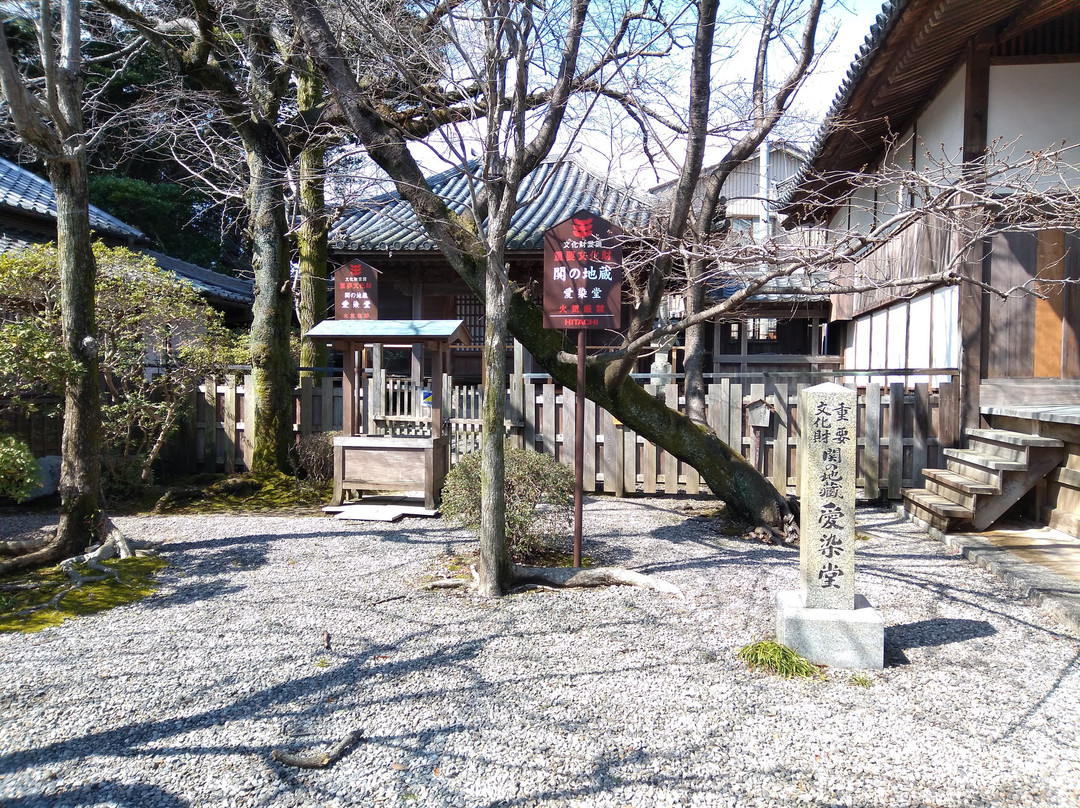 Seki Jizoin Temple景点图片