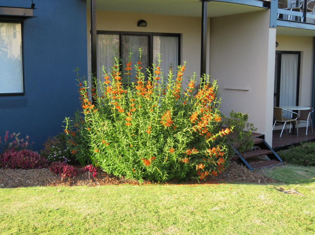 Margarets Beach Resort主图