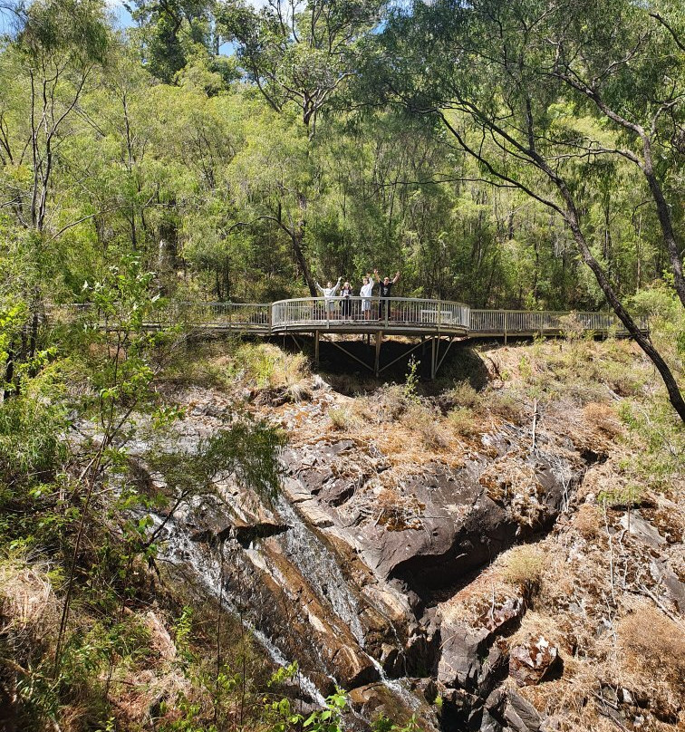 Beedelup National Park-彭伯顿必去景点
