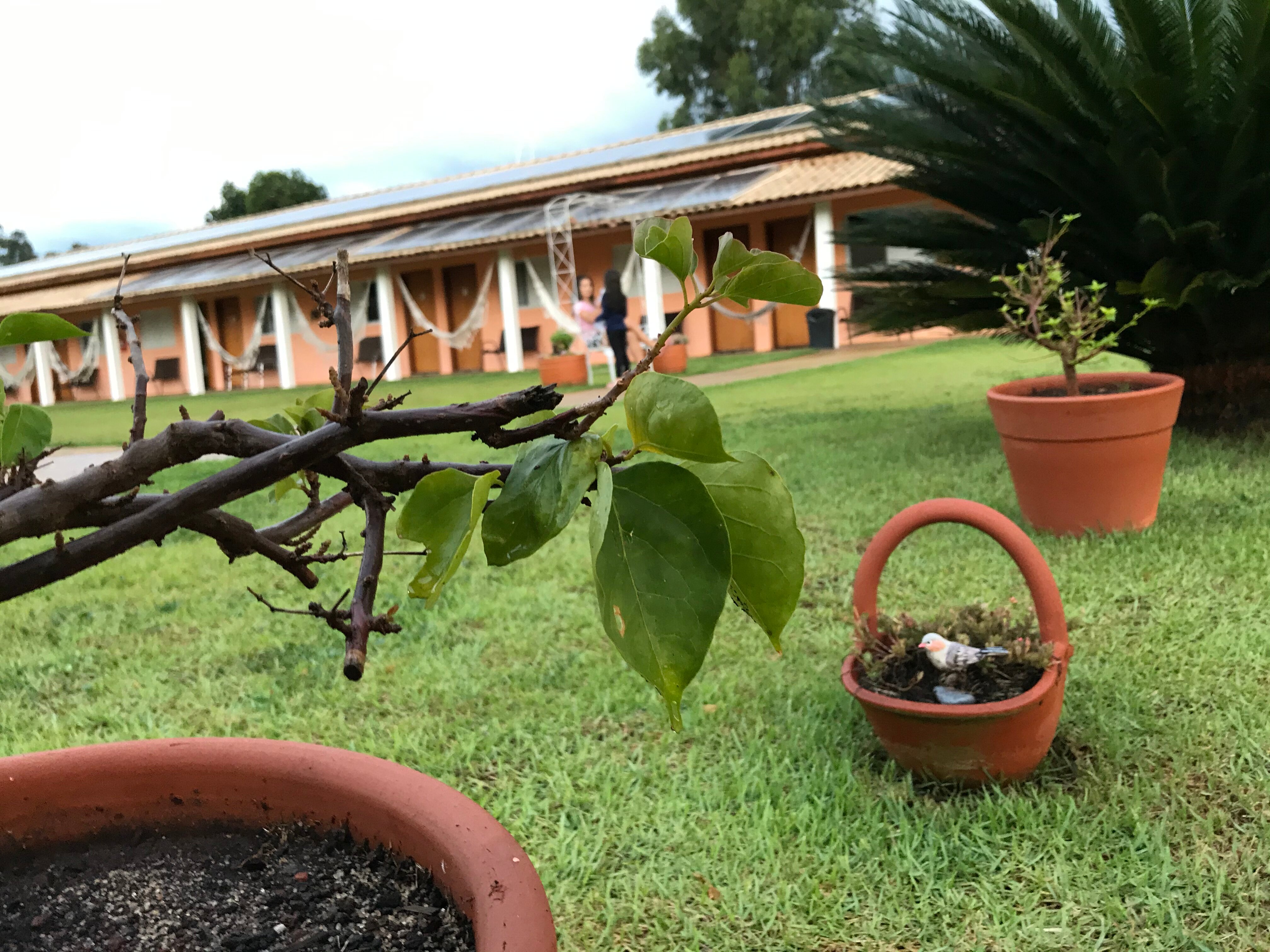 Pousada San Pietro-官方