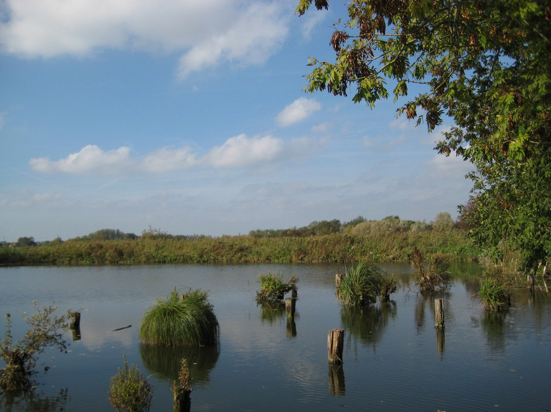 Etangs de Romelaere景点图片