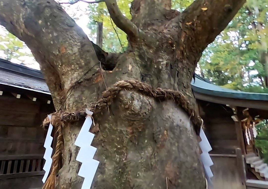 Hotaka Shrine-安昙野市必去景点