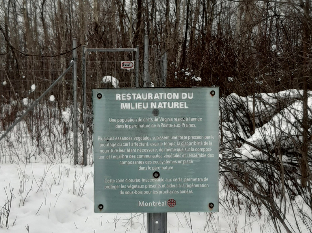 Parc Regional de la Pointe-aux-Prairies-蒙特利尔必去景点