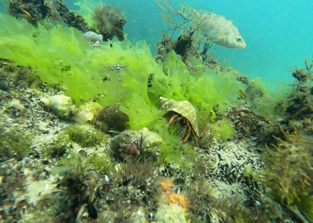 Diving Centre Max-Lozenets必去景点