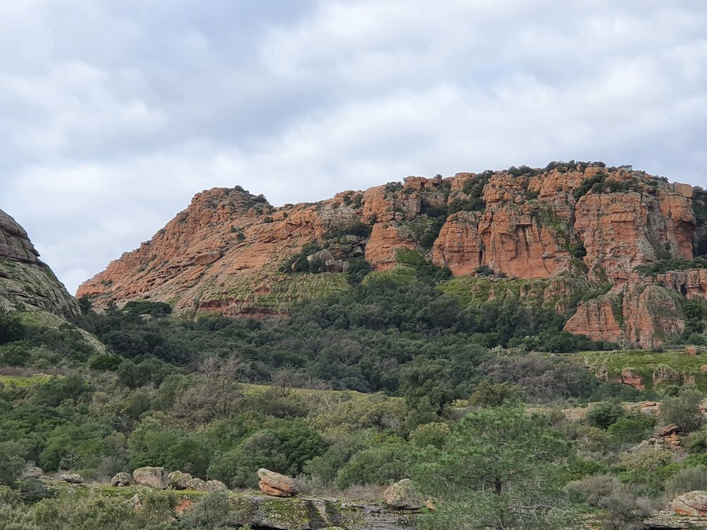 Rocher de Roquebrune景点图片