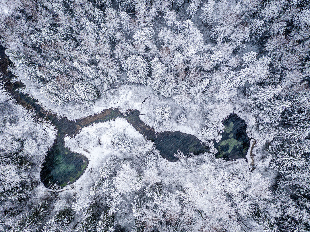 Blue Springs of Saula-Saula必去景点