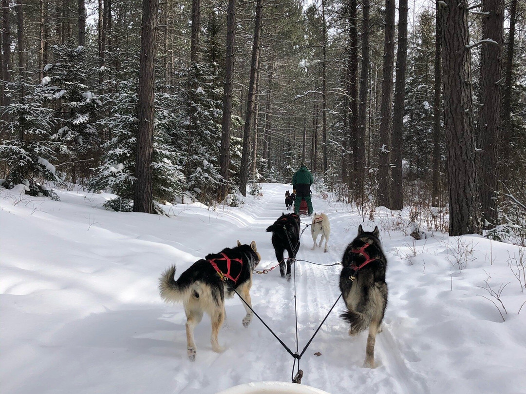 White Wilderness Sled Dog Adventures景点图片