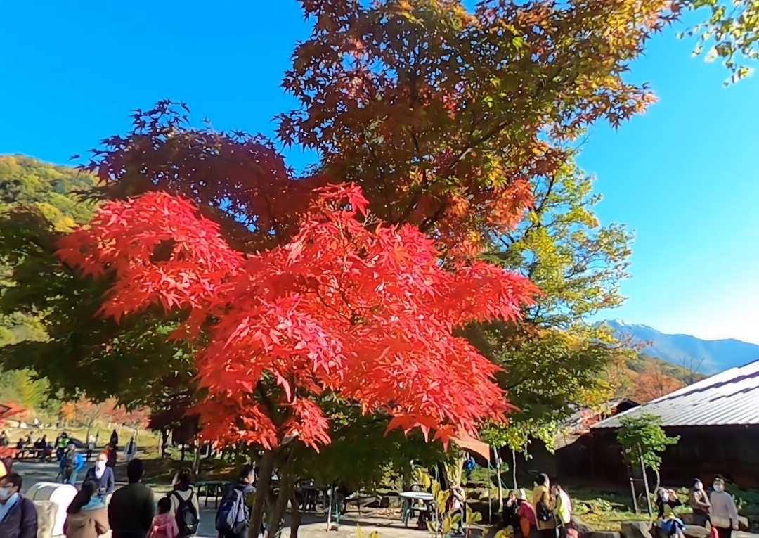 Shirakabataira Station-高山市必去景点
