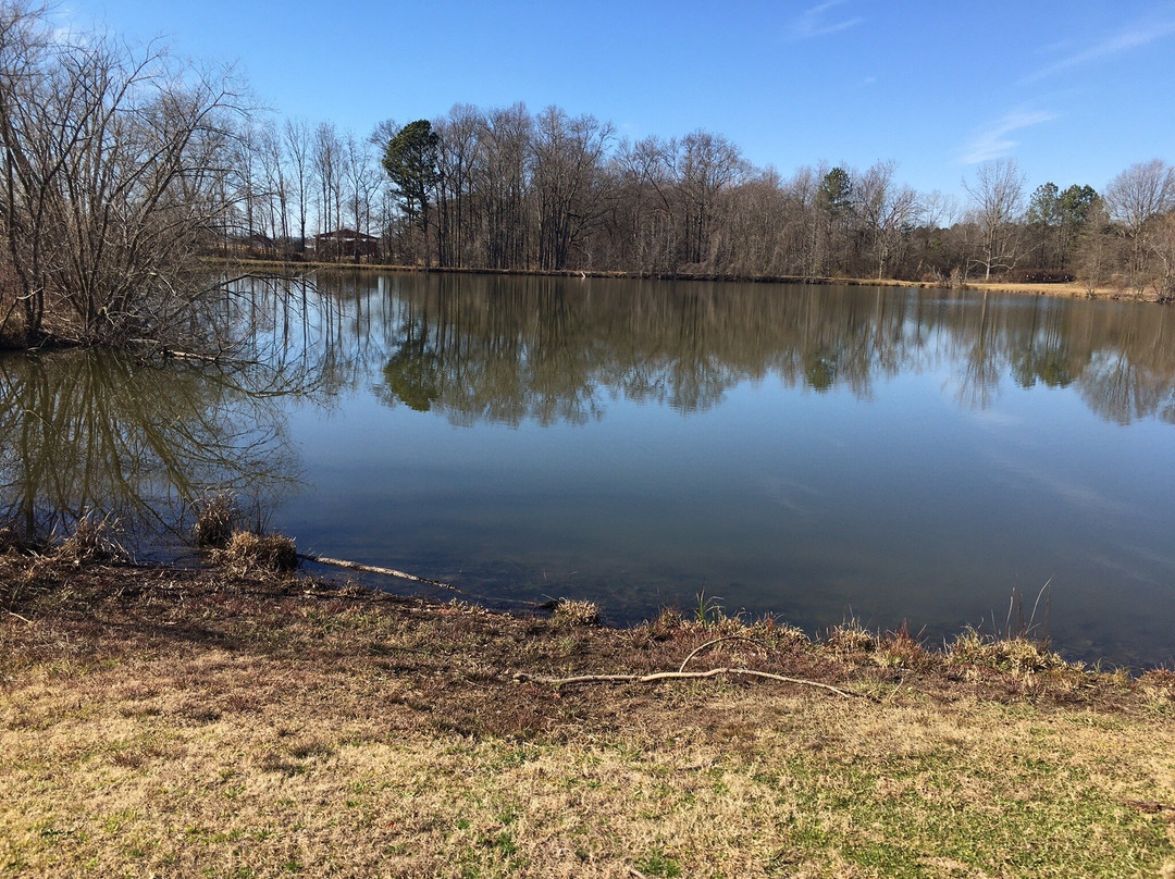 Lamar Murphy Park-Jefferson必去景点