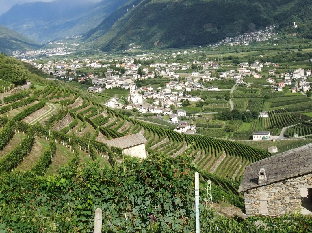 B&b Il Grappolo Valtellina主图